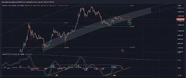 MetaMask终于放大招：一个钱包通吃所有主流公链的时代来了