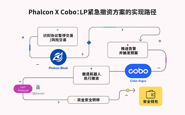 FTX校园大使的噩梦：一场关于信任与背叛的加密悲剧